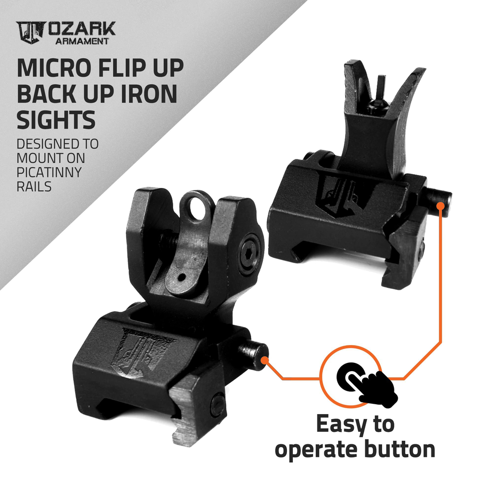 micro-backup-iron-sights.jpg