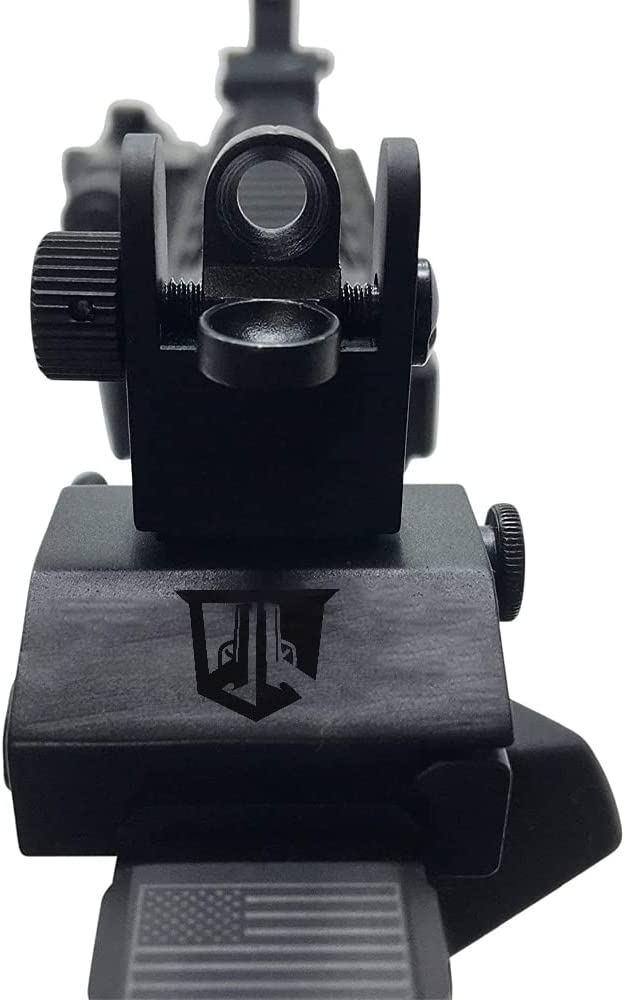 Iron Sights Picture Shooters View